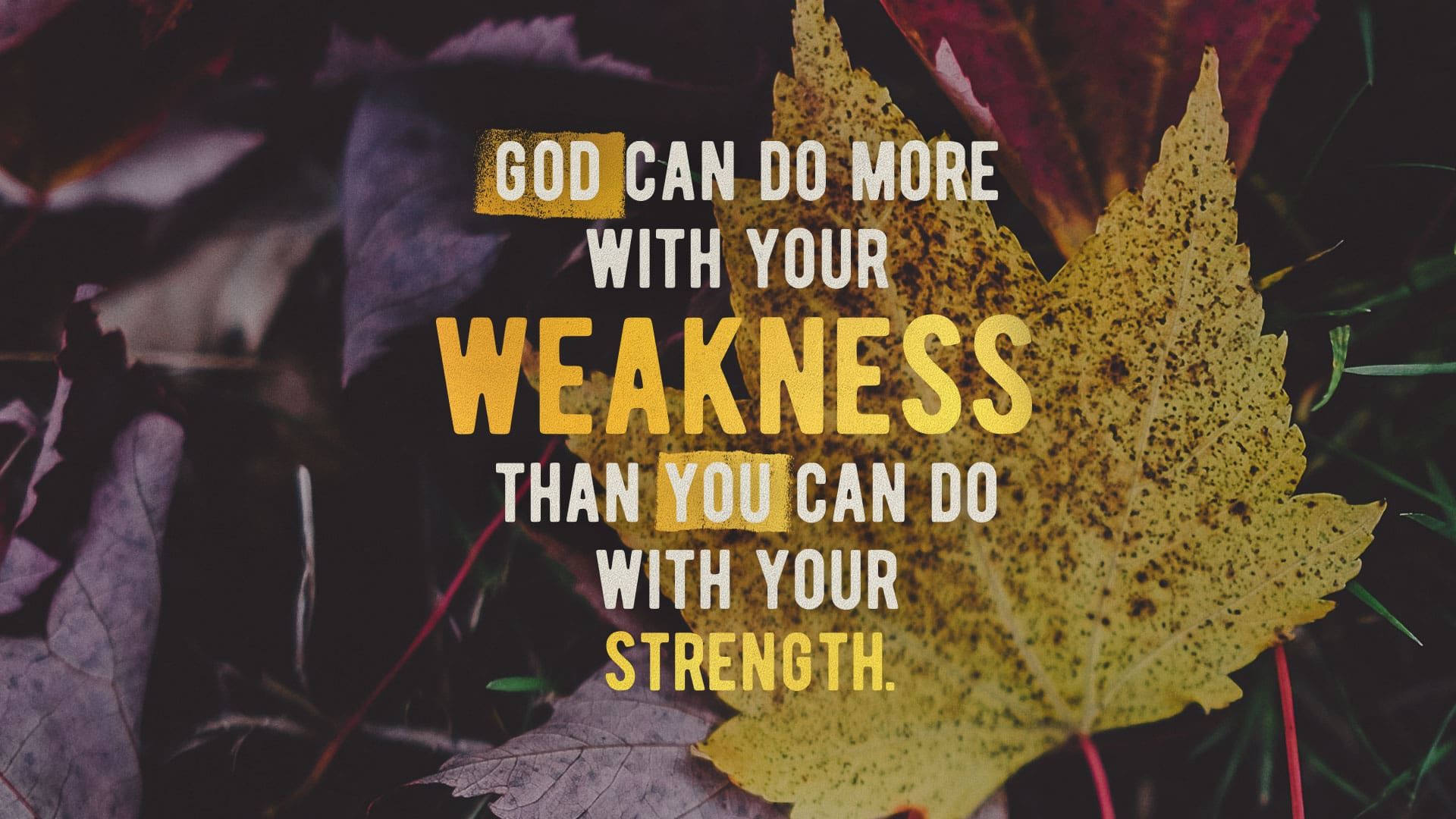 “More Than Enough”