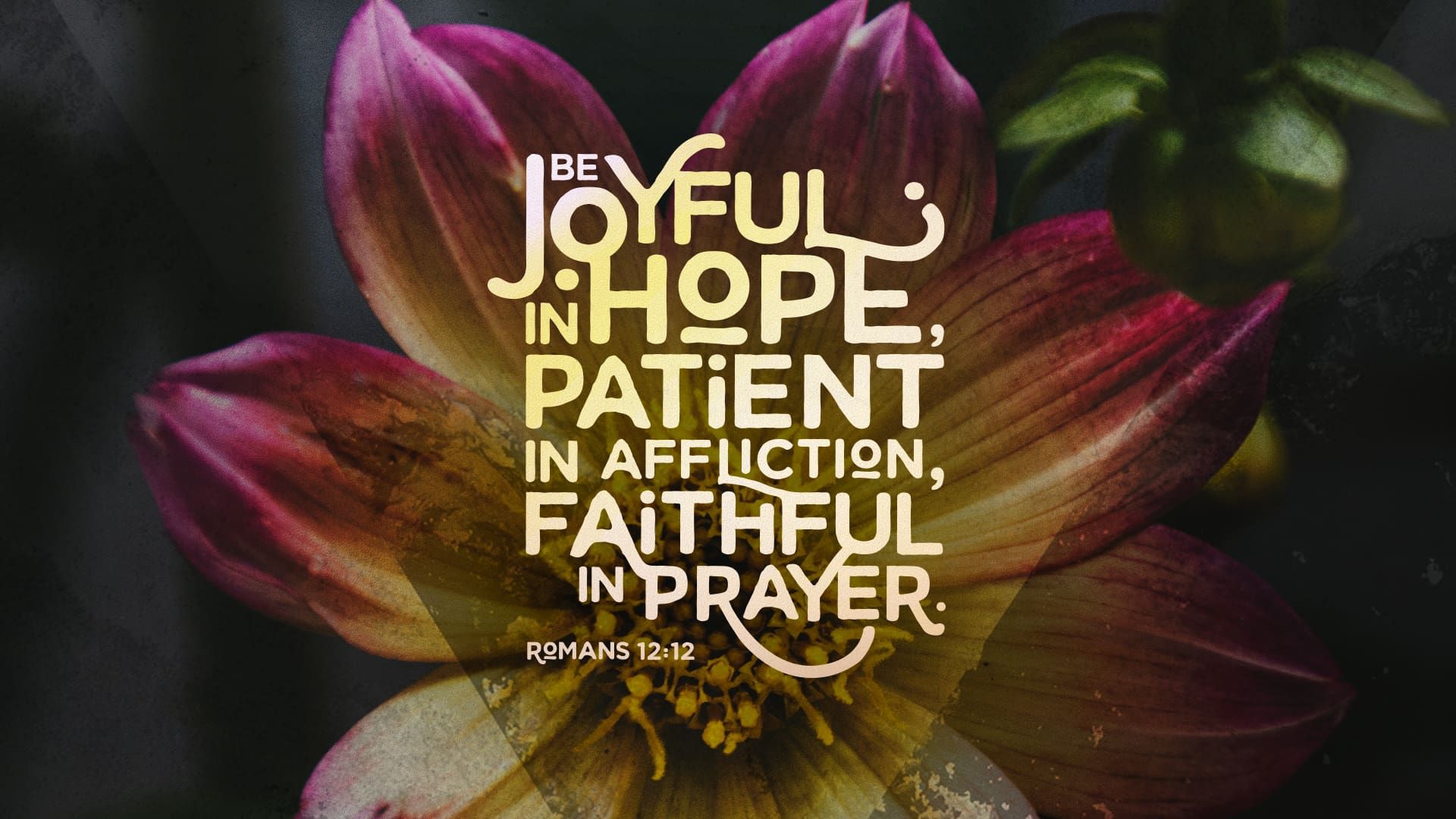 “The Waiting Room”