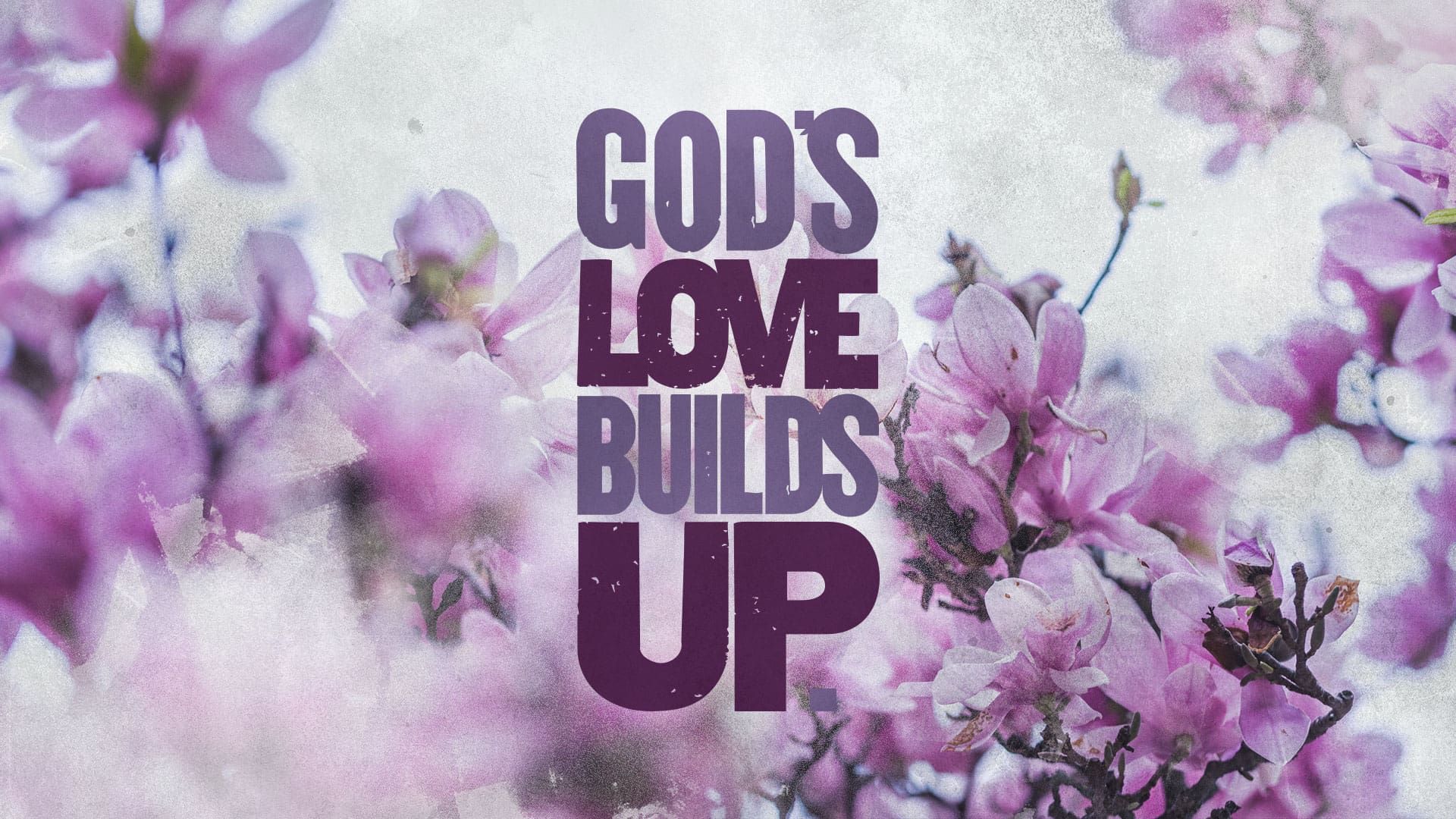 “God’s Love Builds Up”