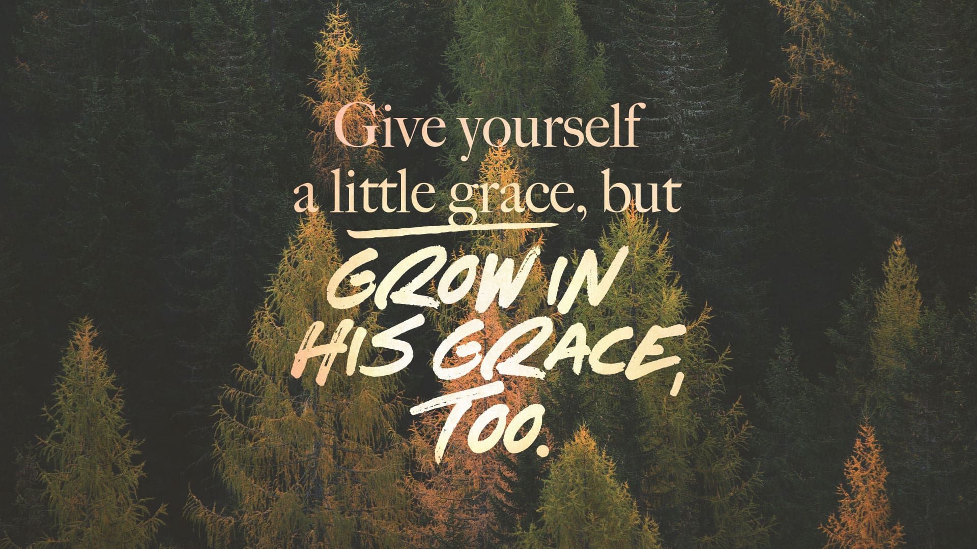 “Grace for a New Year”