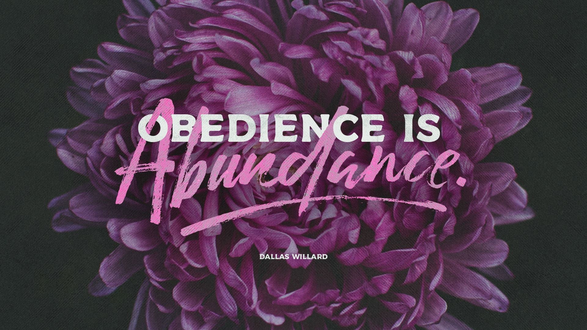 “Obedience is Abundance”