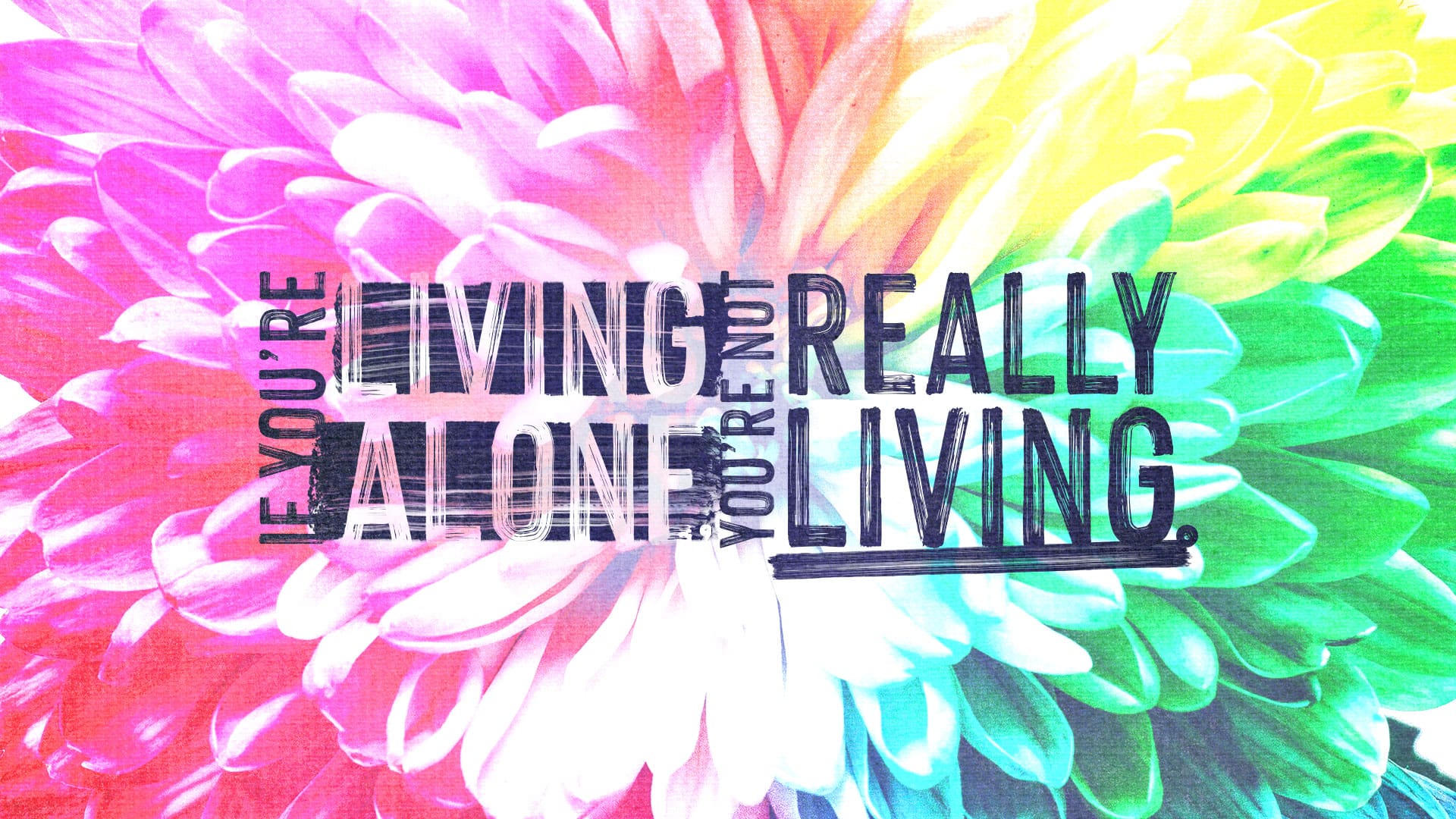 “Good & Beautiful Friendship”