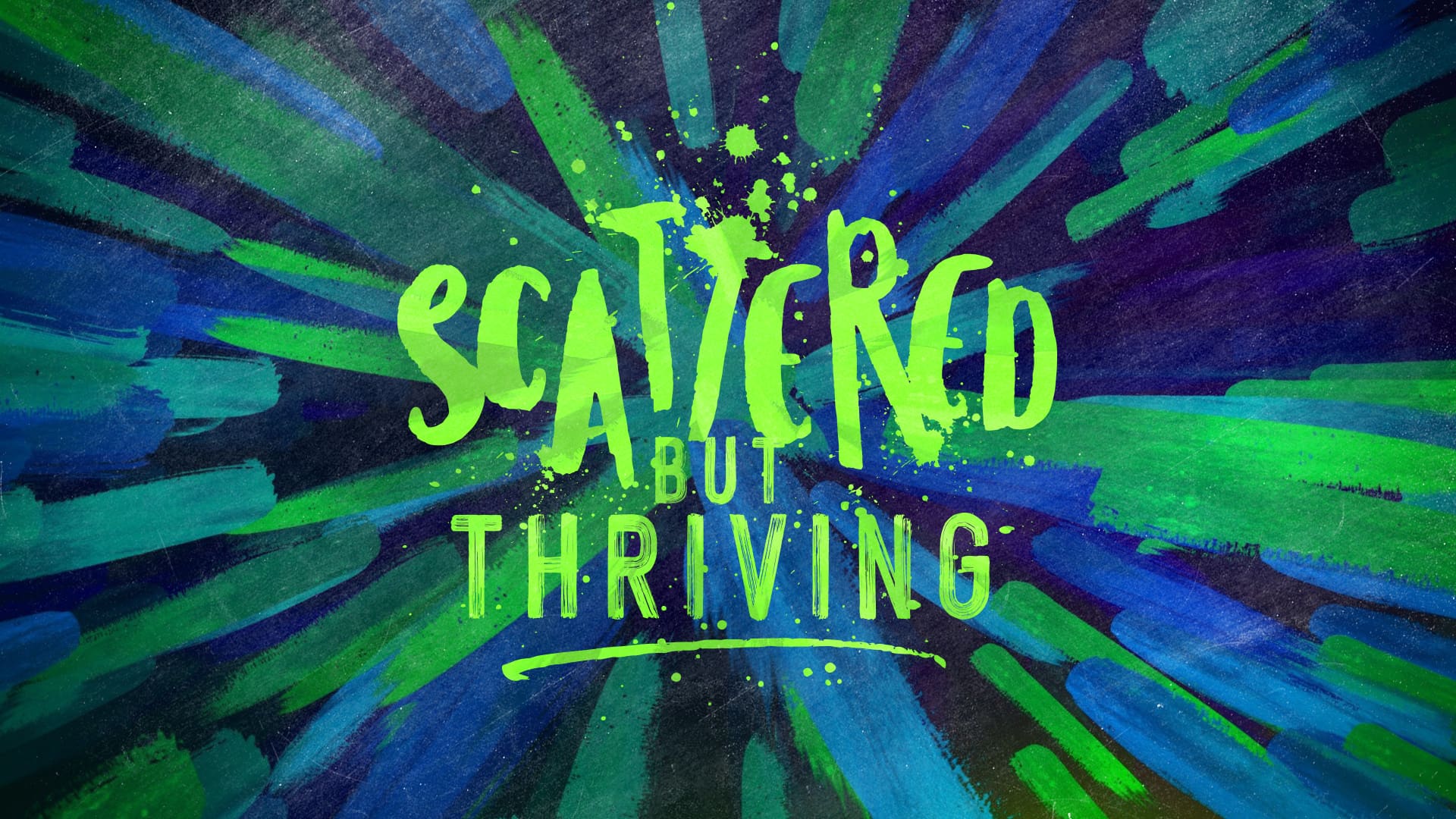 “Scattered but Thriving”