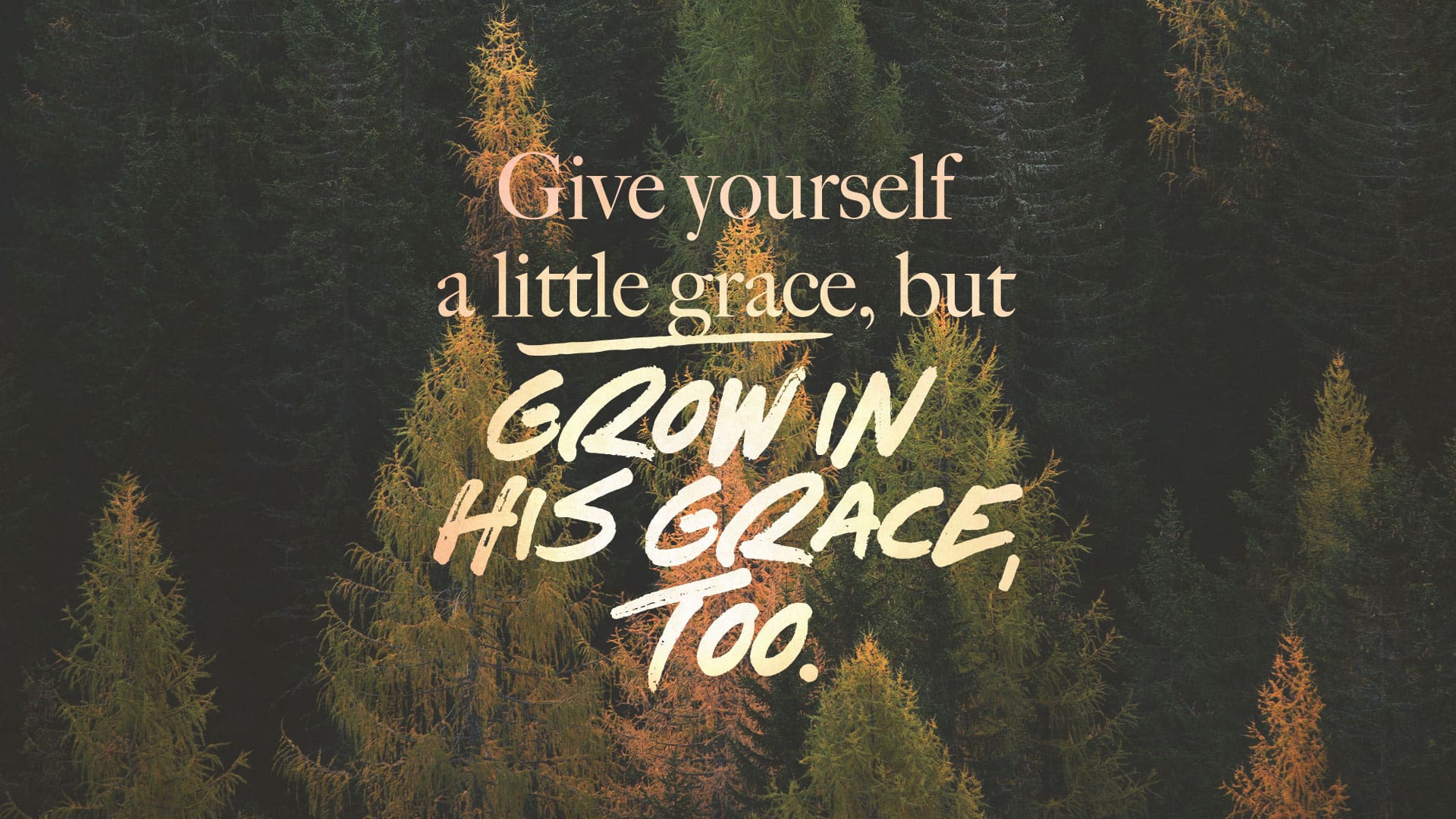 “Grace for a New Year”