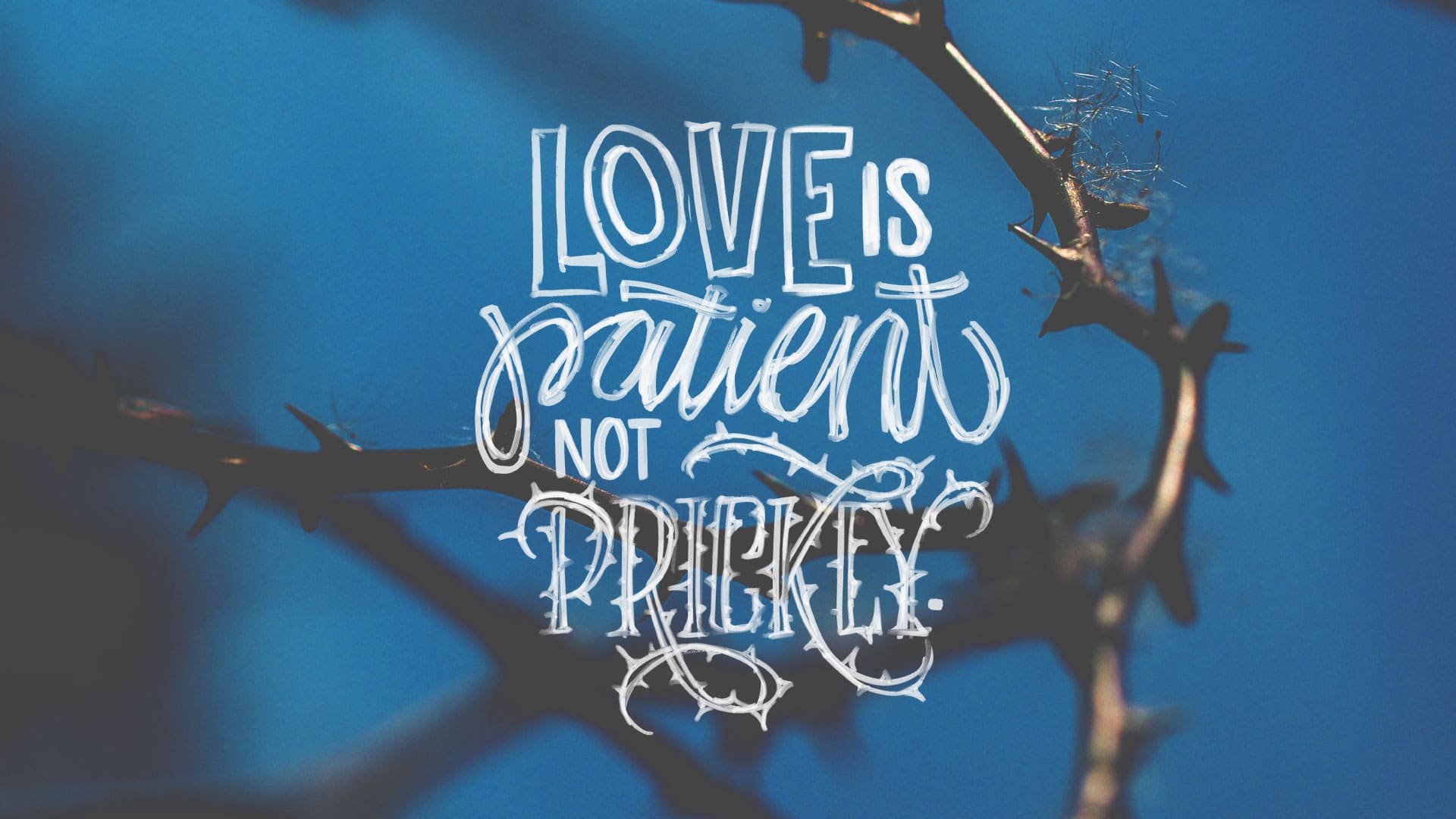 “Patient Not Prickly”