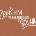 Seek-Him-DESKTOP1
