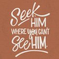 Seek-Him-STORY