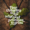 Fear-Threatens-STORY